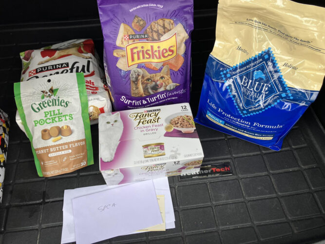 Local sorority gives to SPCA